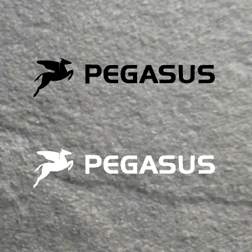 Pegasus aufkleber - 2,
