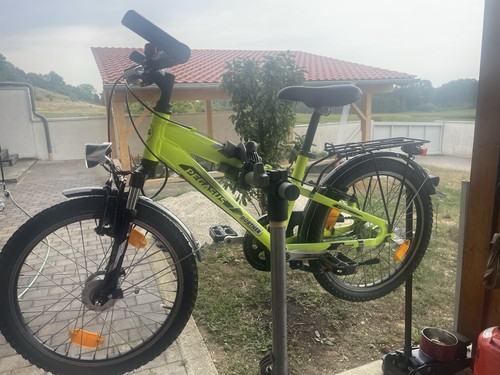 Pegasus kinderfahrrad zoll - pegasus, 20