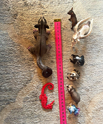 Set schleich und safari - set,