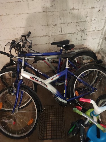 Pegasus city bike blau - pegasus,
