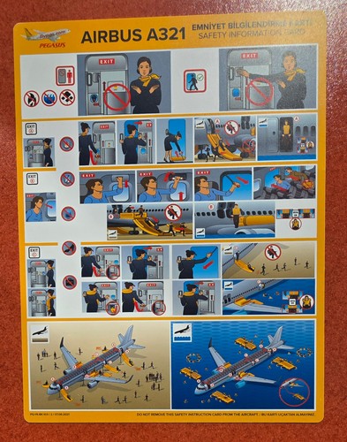 Pegasus airbus a321 - pegasus,